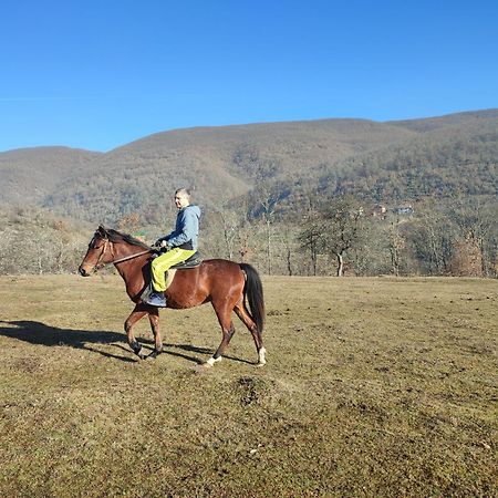 Seoski Turizam Zilicina Rogatica Exterior foto
